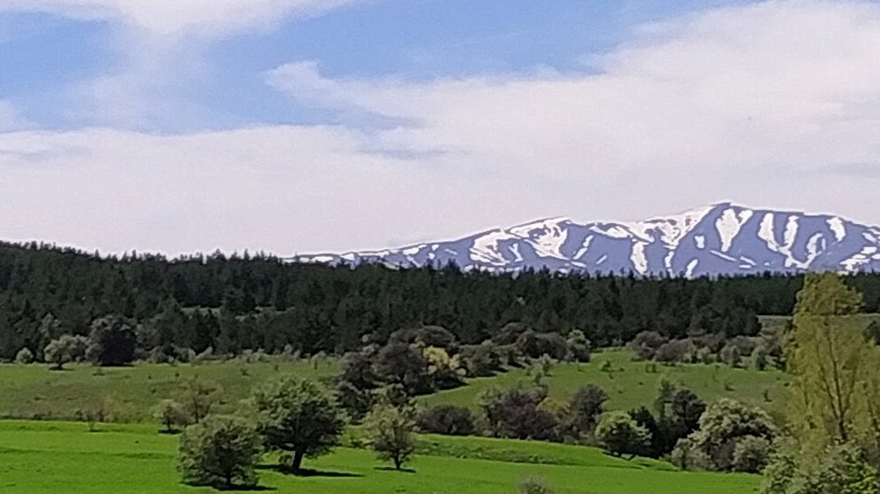 Köy Toplantısı
